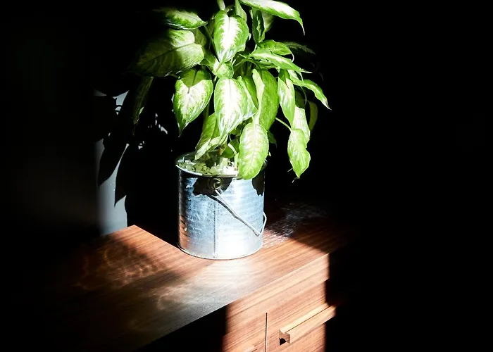 Oda ve Kahvaltı I Bannisti Santeramo in Colle